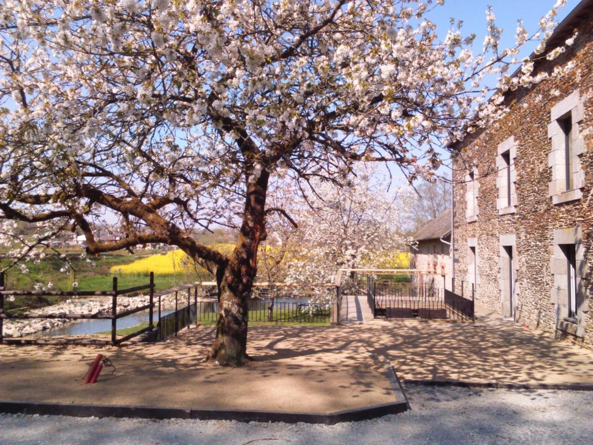 Le Moulin De Bretigneul Bed and Breakfast Saint-Aubin-des-Landes Buitenkant foto